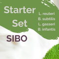 L. reuteri + B. subtilis + L. gasseri + B. infantis | Yoghurt Starter Set | SIBO Stable | Starter Cultures | Set van 3