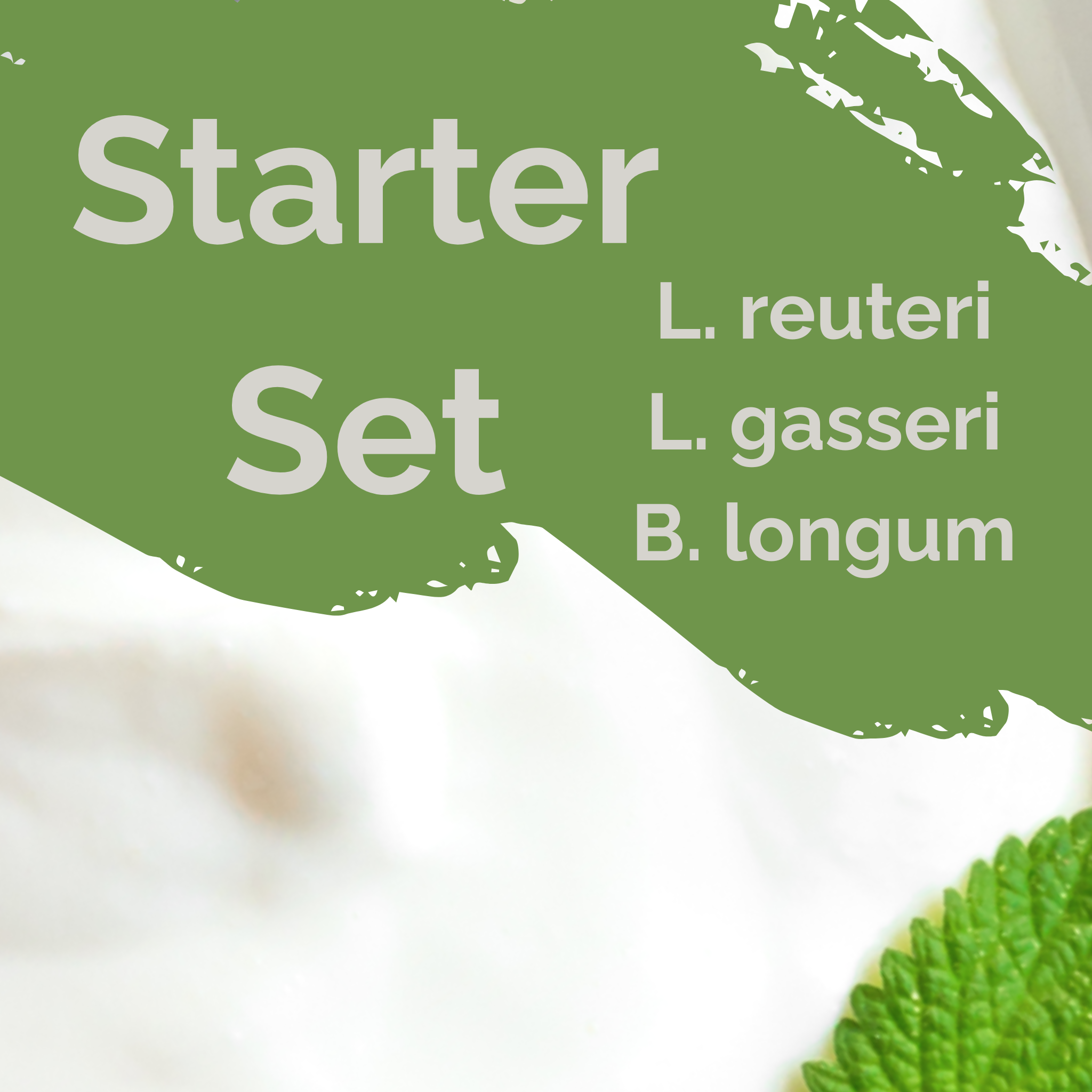 L. reuteri + L. gasseri + B. longum | Yoghurt Starter Set | Licht Darm | Starterculturen | Verpakking van 3