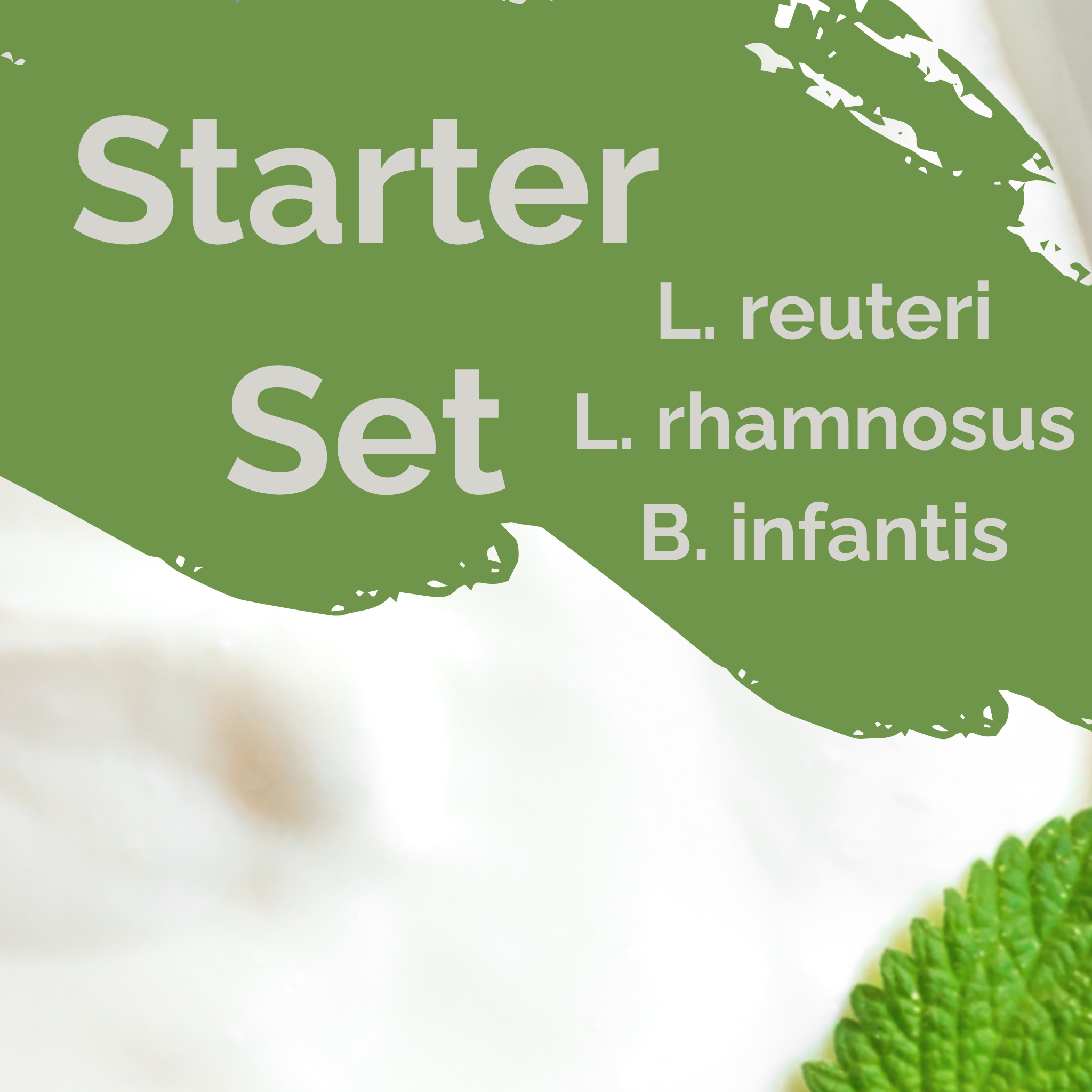 L. reuteri + L. rhamnosus + B. infantis | Yoghurt Starter Set | Happy Gut | Starterculturen | Set van 3