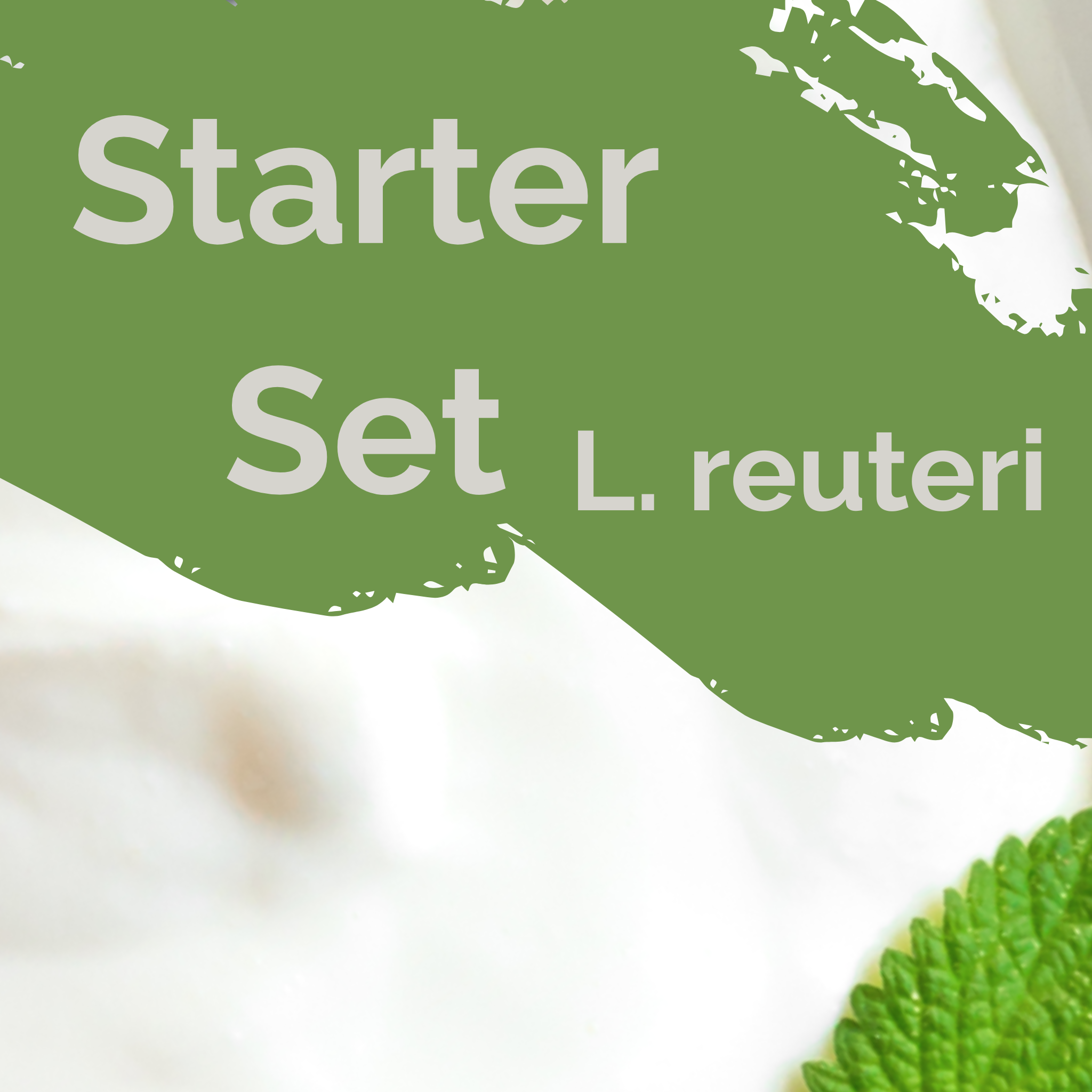 L. reuteri | Yoghurt Starter Set | Starterculturen | Verpakking van 3