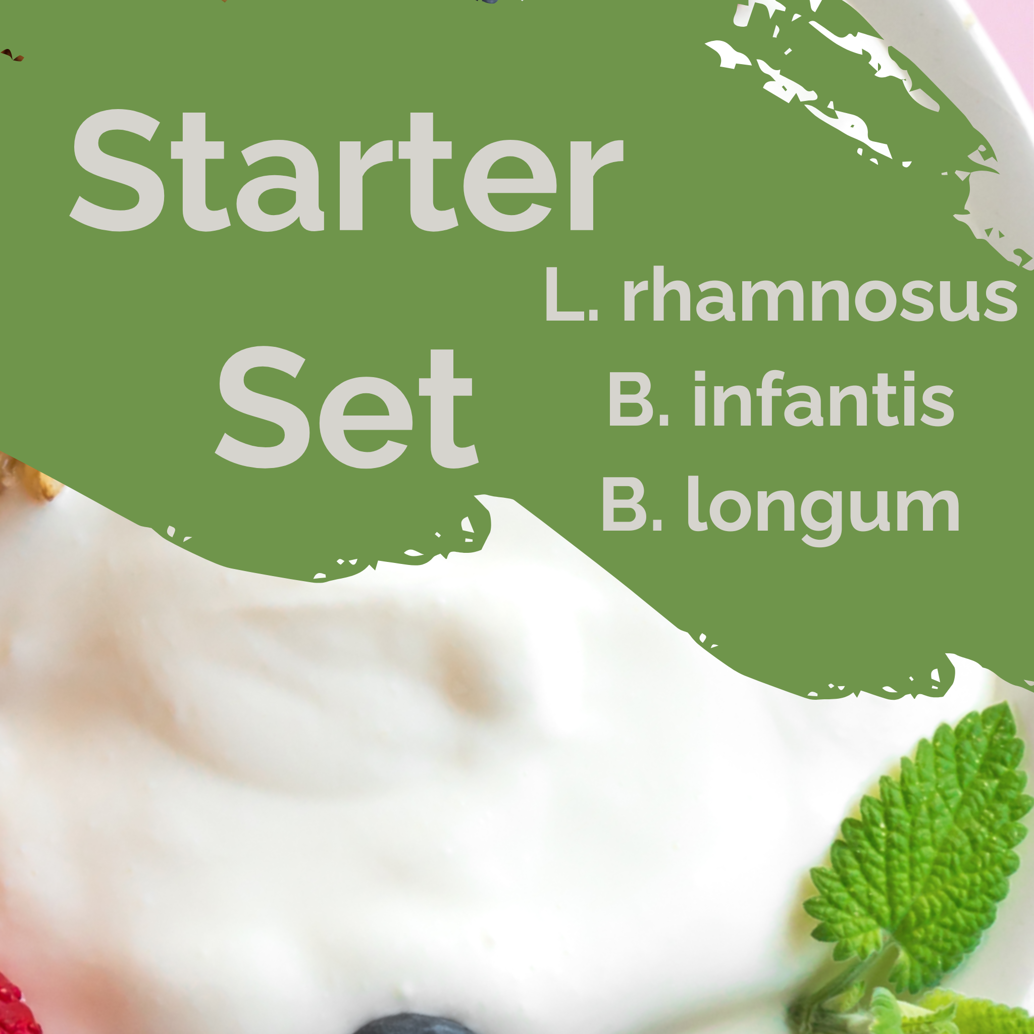 L. rhamnosus + B. infantis + B. longum | Yoghurt Starter Set | Darmbalans | Starterculturen | Set van 3