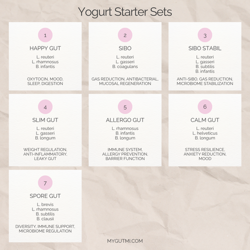 Starter Set "Happy Gut" | L. reuteri, L. rhamnosus, B. infantis Yogurt